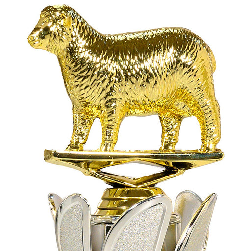 Close-up van schaap op de trofee