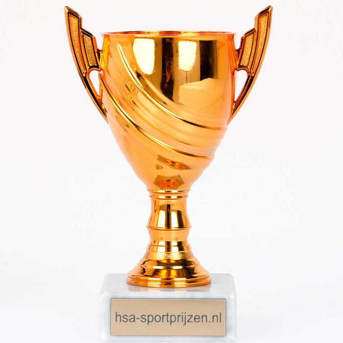 Beker Hayden foto bronzen beker