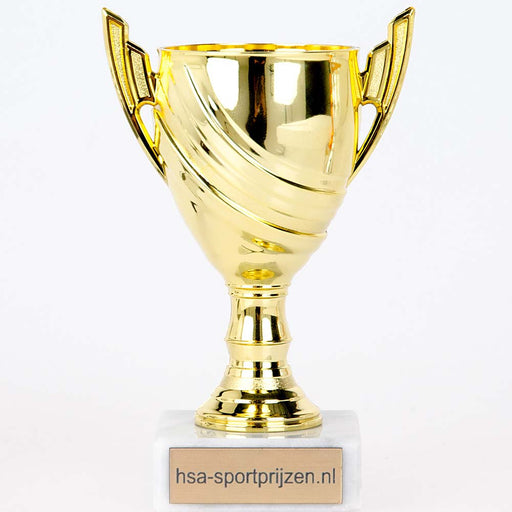 Beker Hayden foto gouden beker