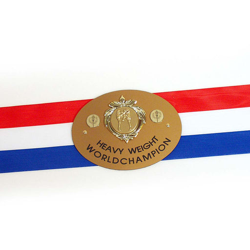 Kampioensgordel Boxing-champ NL