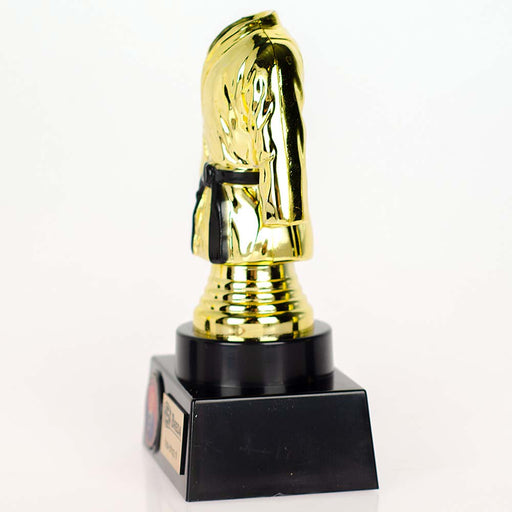 Trofee Judo Goud zwarte band zijaanzicht