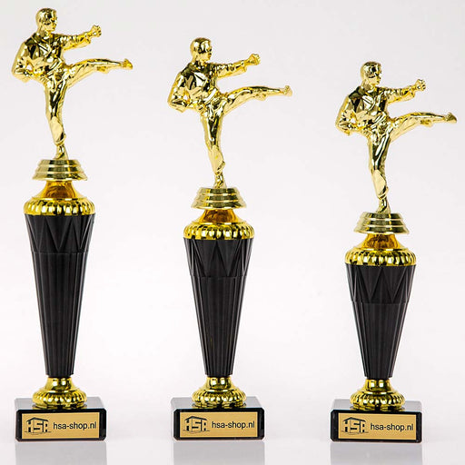 Trofee Karate