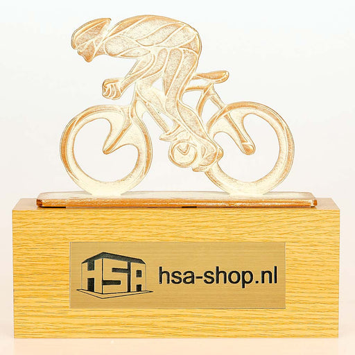 Trofee Wielrenner wit-goud op houten blok