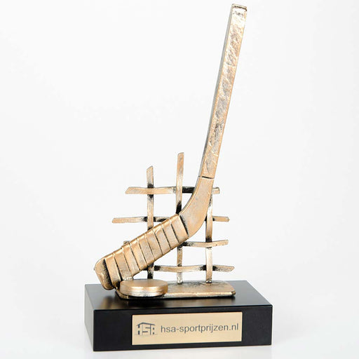 Trofee ijshockey 24.5 cm