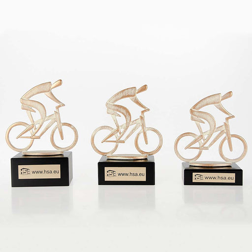 Trofee mountainbike 3 verschillende maten