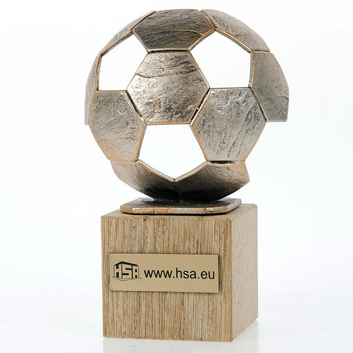 Trofee voetbal 19 cm op eiken voet