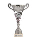 Beker Lena 35 cm zilverkleurige sporttrofee
