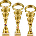 Serie van drie goudkleurige trofeeën op een rijtje.