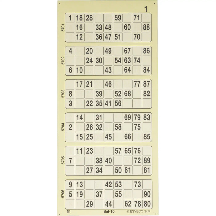 Bingokaarten boekjes 1-90 06 dik enkel