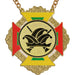 Medaille Bartholo Goud rood-geel-groen met standaard logo Carnavalssteek.