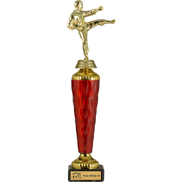 Trofee Karate van 27,5 cm hoog met rood transparant tussenstuk.
