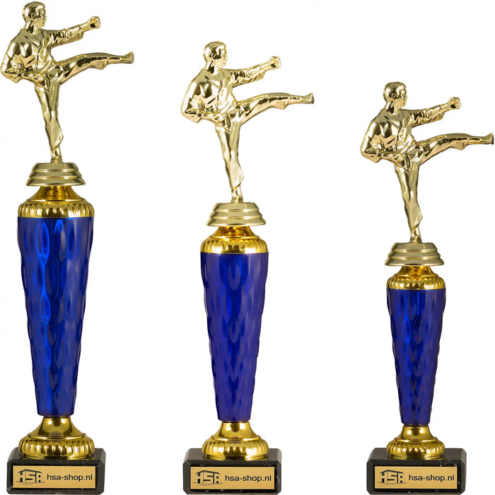 Trofee Karate blauw-goud