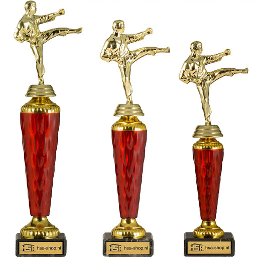 Trofee Karate serie van drie op een rijtje.