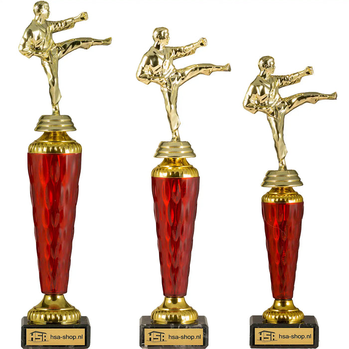 Trofee Karate serie van drie op een rijtje.
