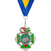 Medaille Hubert zilverkleurig met standaard logo D.E.S.V.