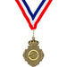 Oud-gouden medaille met kroon aan rood-wit-blauw halslint